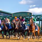 Trifecta Betting Strategy for the 2026 Alcibiades Stakes